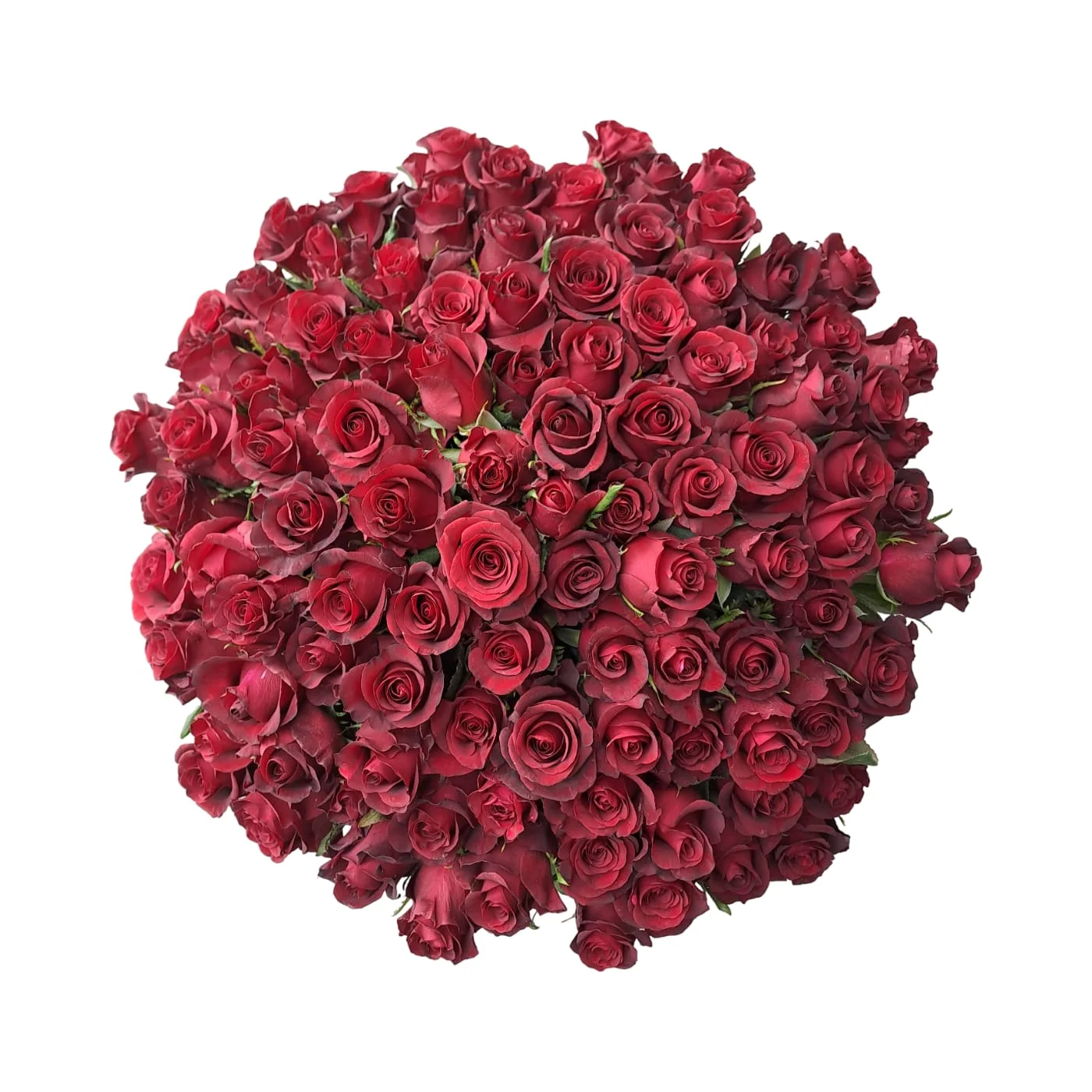 100 Stems Tall Red