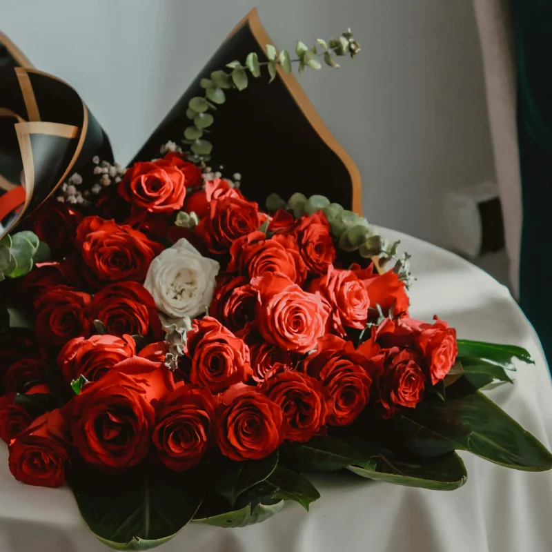 Red Rosy