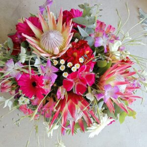 Protea Perfection