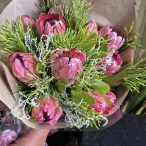 Protea Bunch Medium